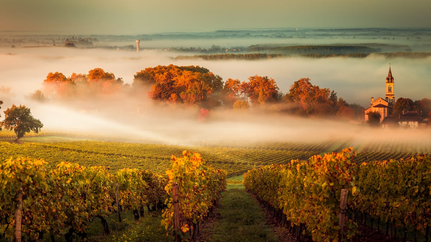 Bordeaux
