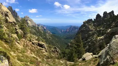 Création de site internet en Corse