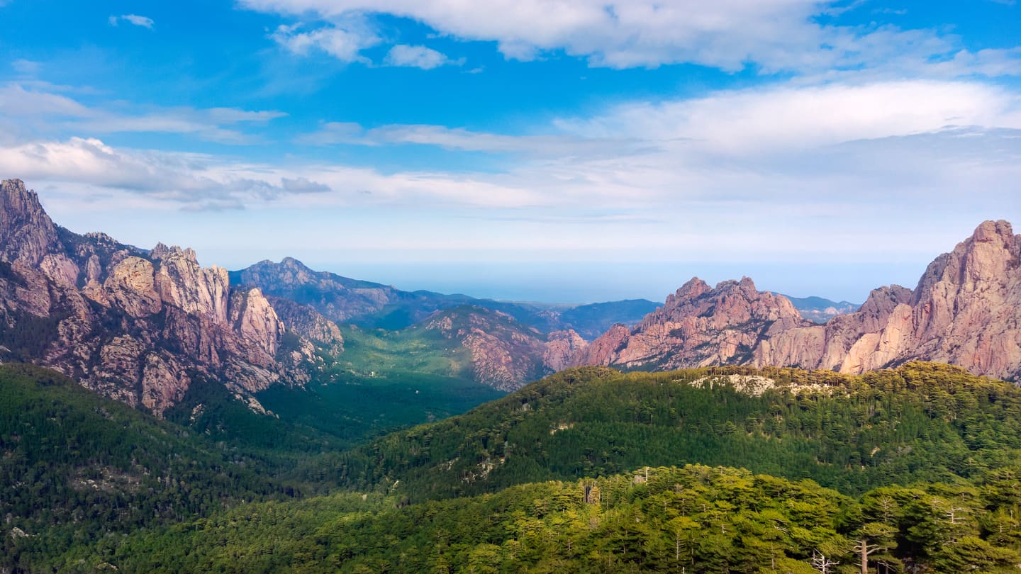 Corse